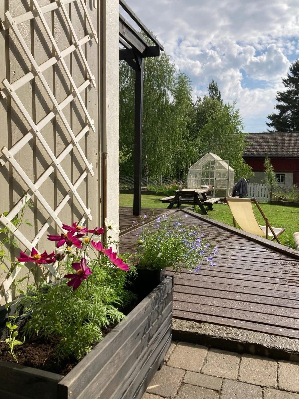 Sommerbilde tatt av selger Galleribilde