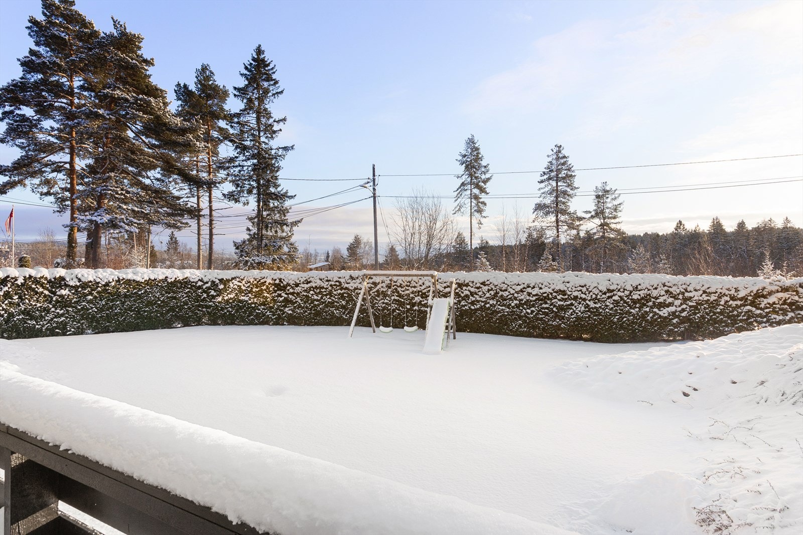 Stor hage omkranset av hekk og beplatning Galleribilde