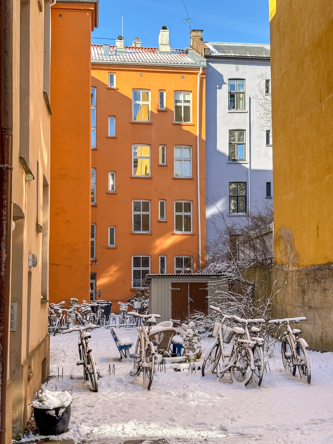 Koselig felles bakgård. Galleribilde
