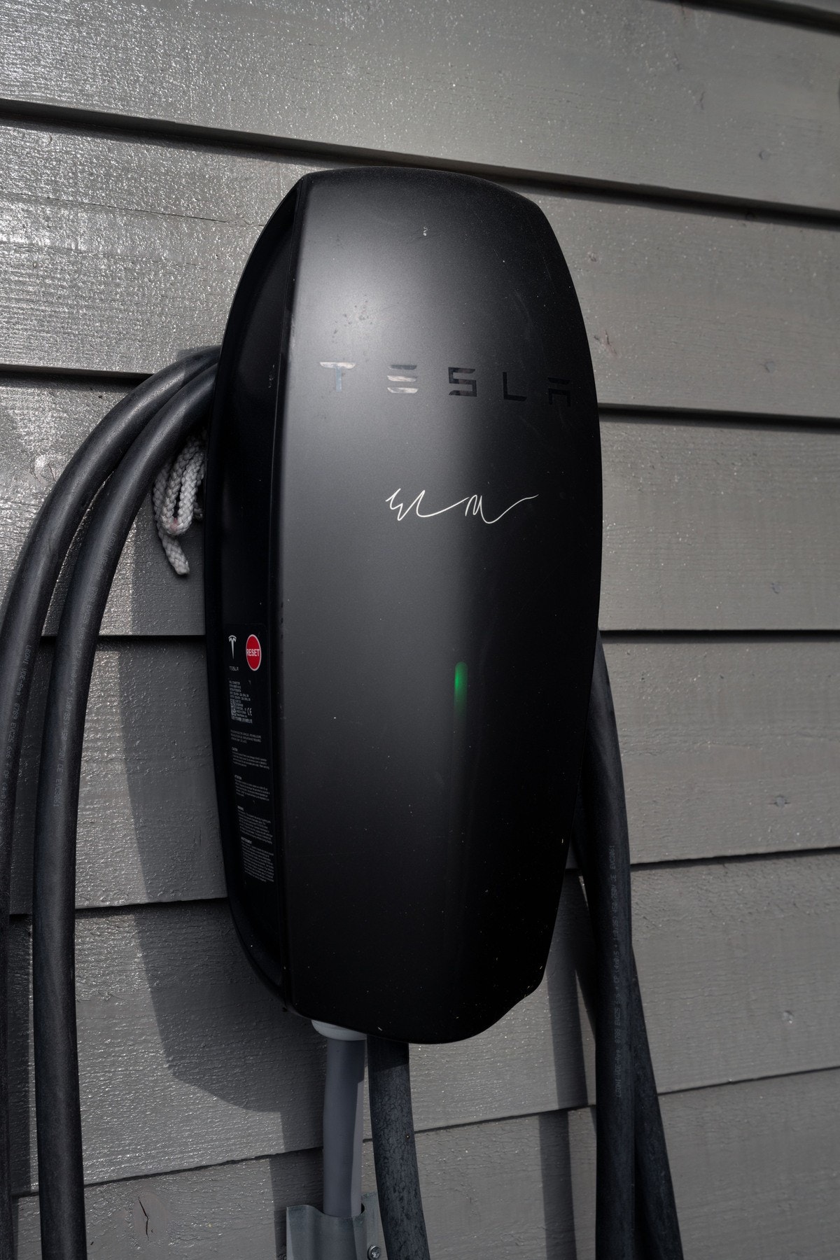 El-billader. Galleribilde