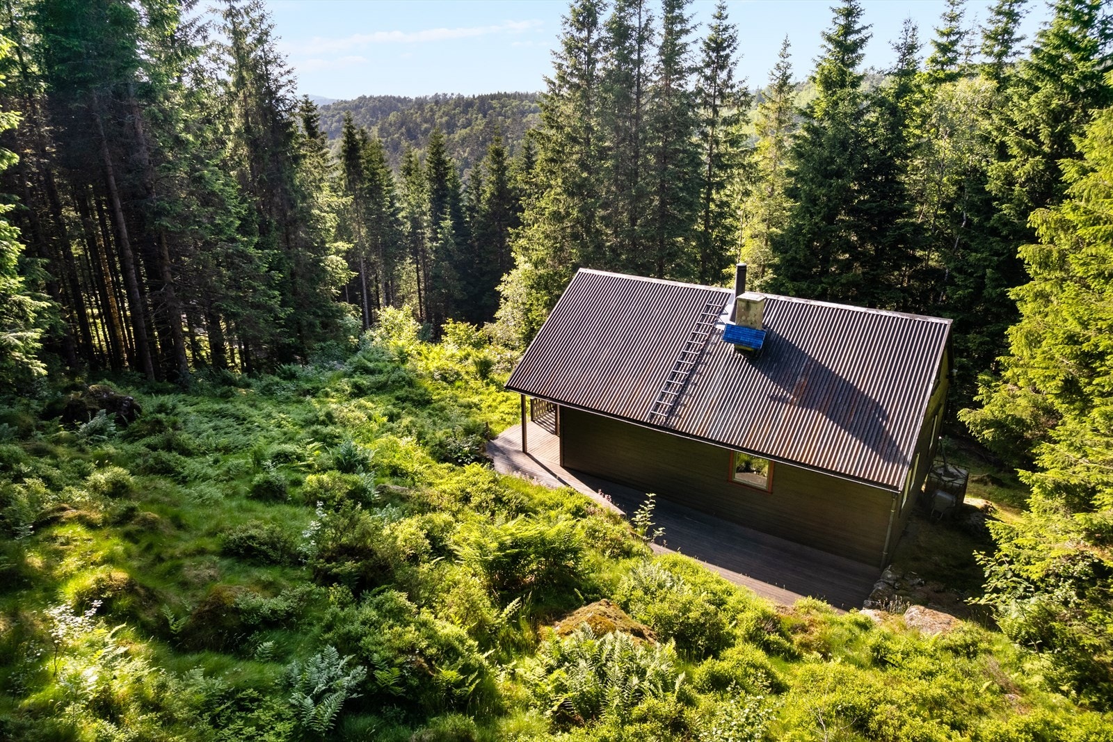 Område bak hytten Galleribilde