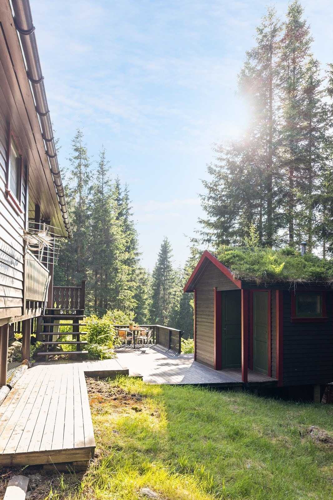 Område mellom hytte og utebod/toalett. Galleribilde