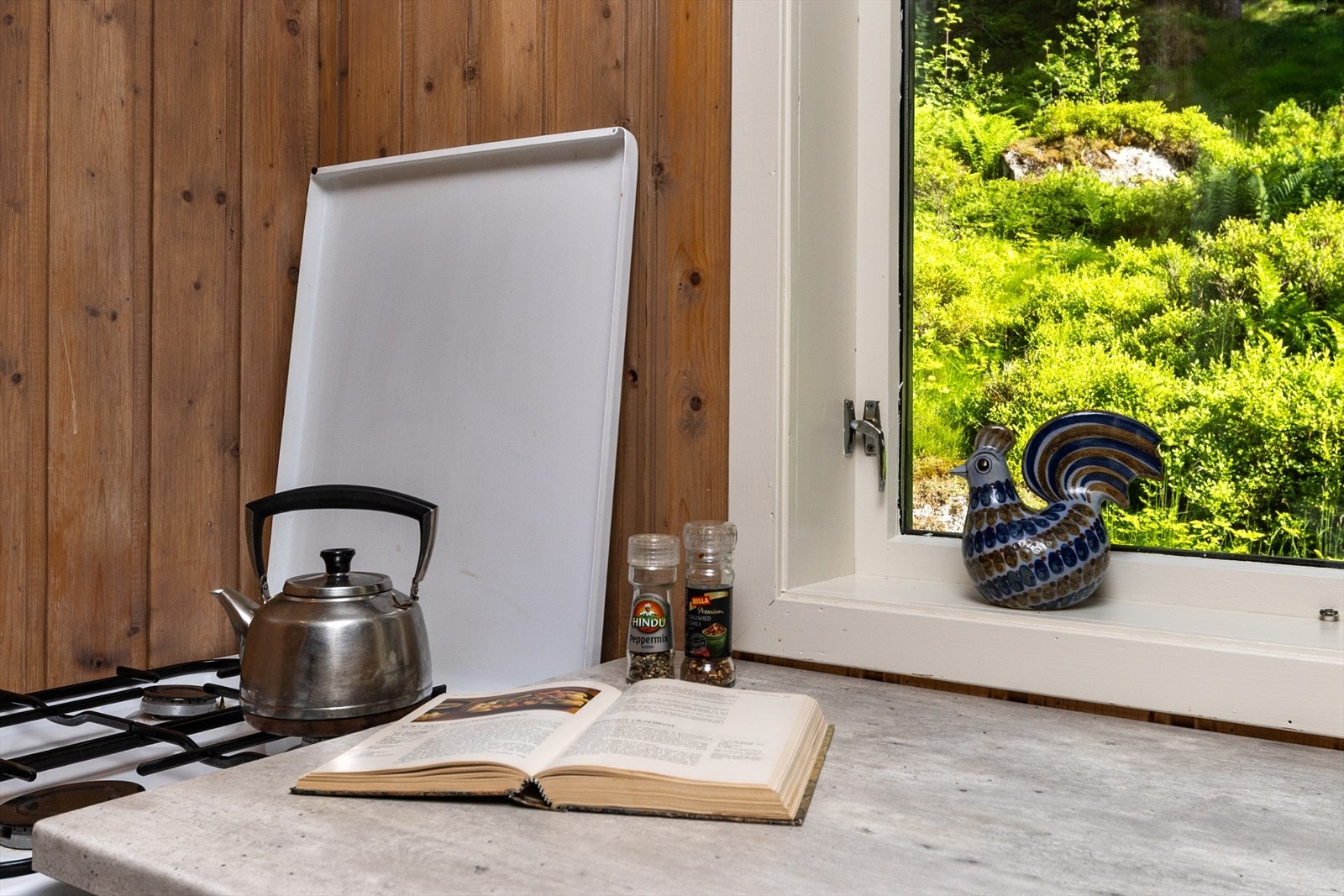 Kokemulighet med gass Galleribilde