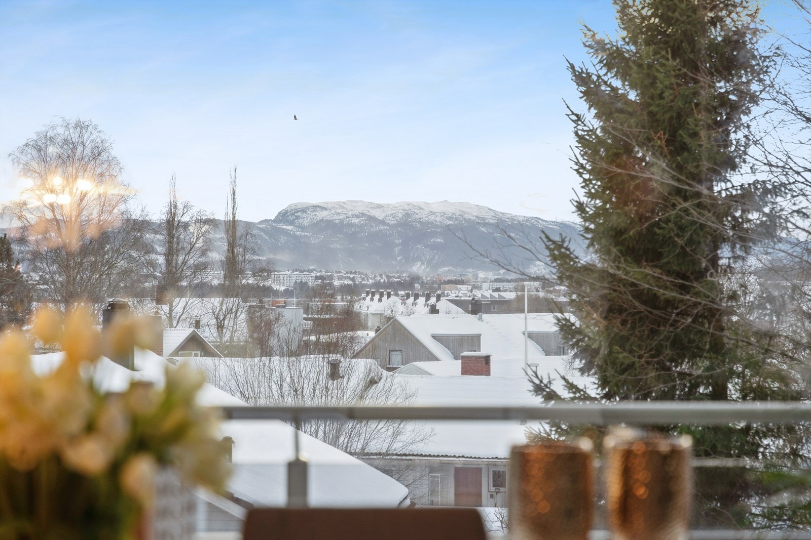 Utsikt retning Vassfjellet. Galleribilde