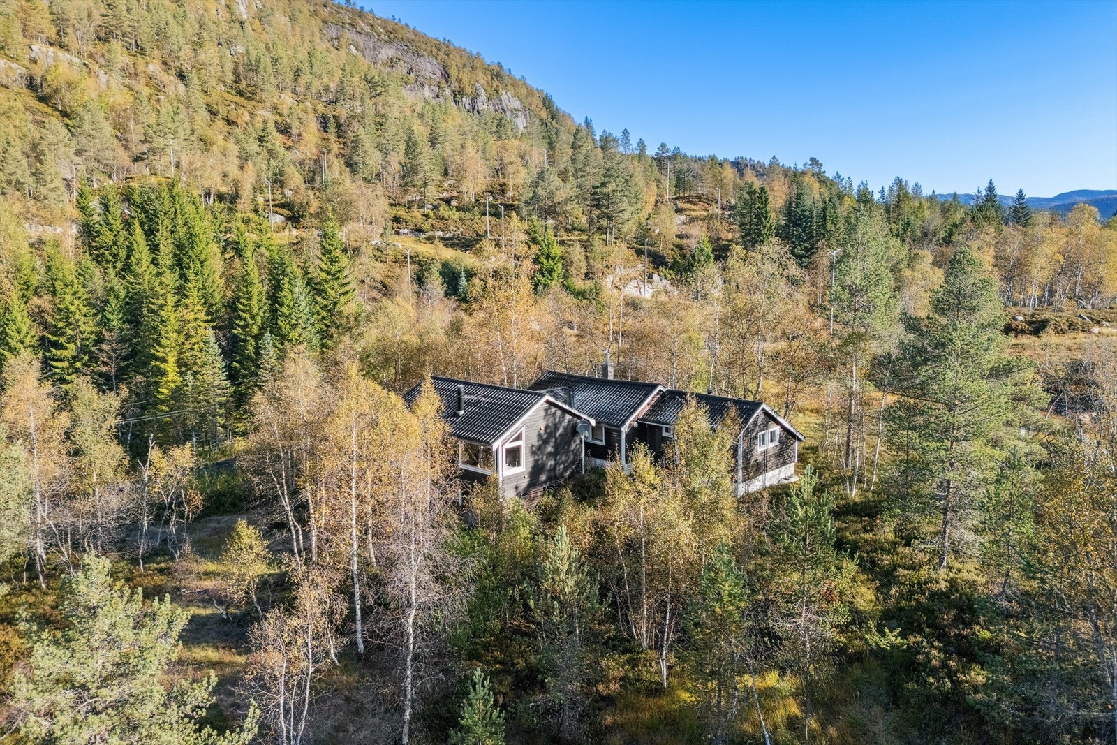 En flott hytte i nydelige omgivelser. Galleribilde