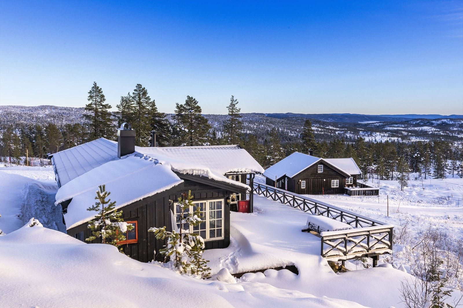 Sjekk utsikten! Galleribilde
