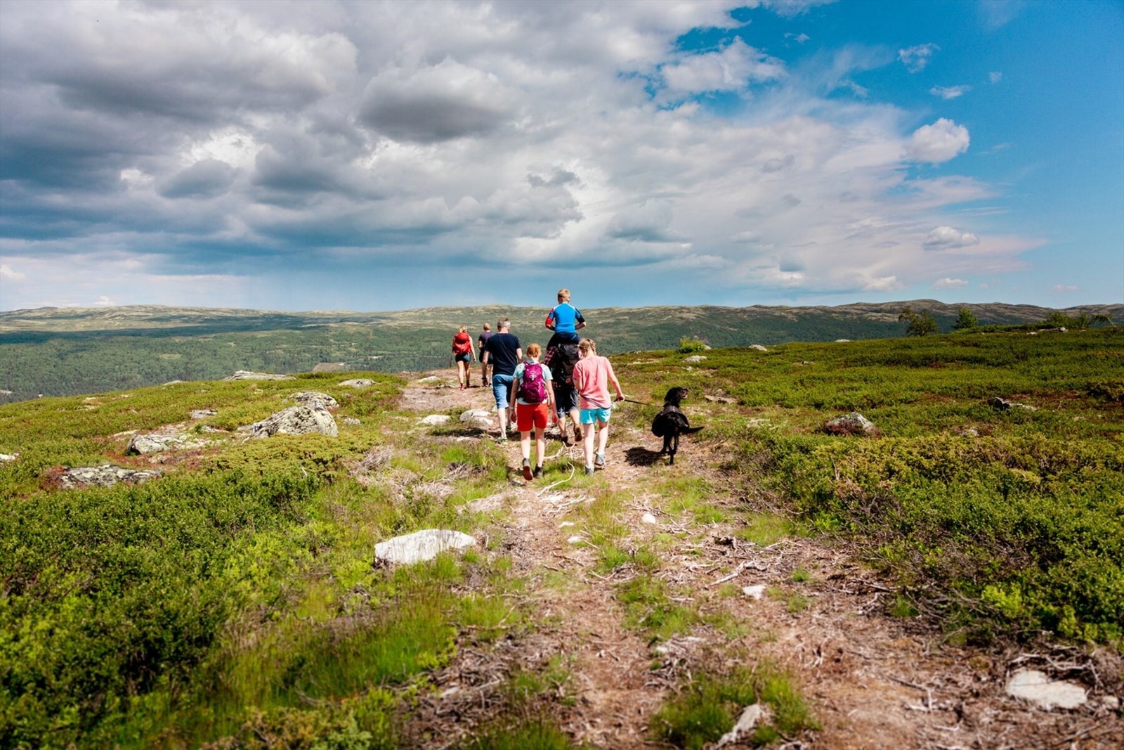 Foto uvdal.no. Galleribilde