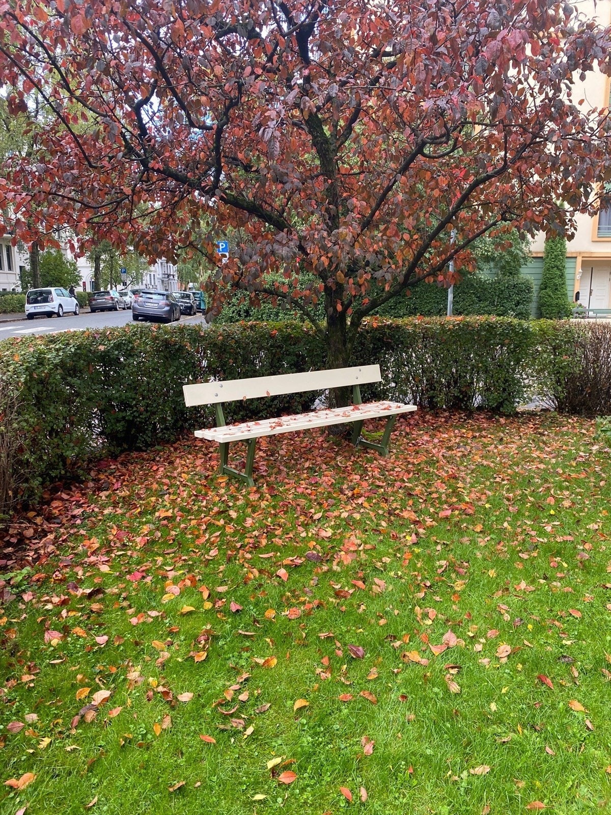 Sommerbilde tatt av selger som viser sameiets hyggelige og grønne fellesarealer, med sitteplasser og beplantning. Galleribilde