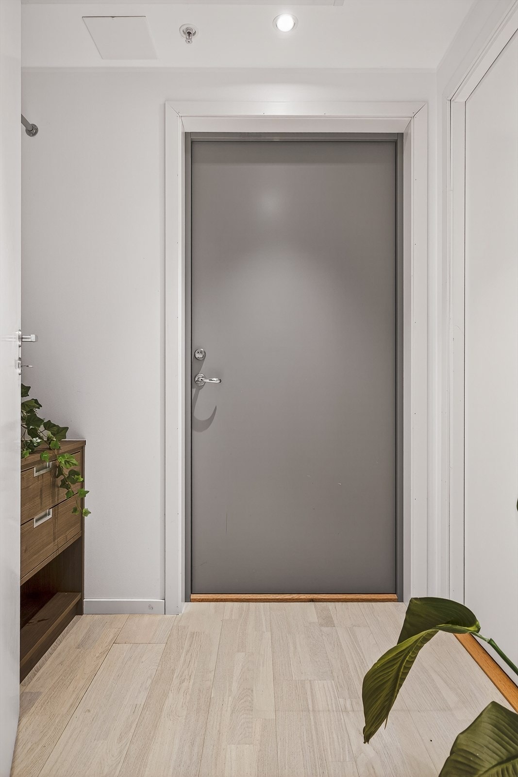 Velkommen til hyggelig nyhetsvisning! Galleribilde