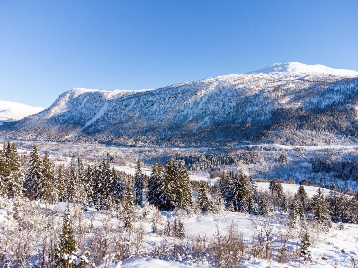 Tomtene ligger rett ved Myrkdalen skisenter som er et av de mest snøsikre i Norge med fantastiske alpinbakker, samt et ubeskrivelig frikjøring terreng. Fjellene rundt Myrkdalen egner seg også til eksepsjonelle toppturer med spektakulær utsikt. Galleribilde