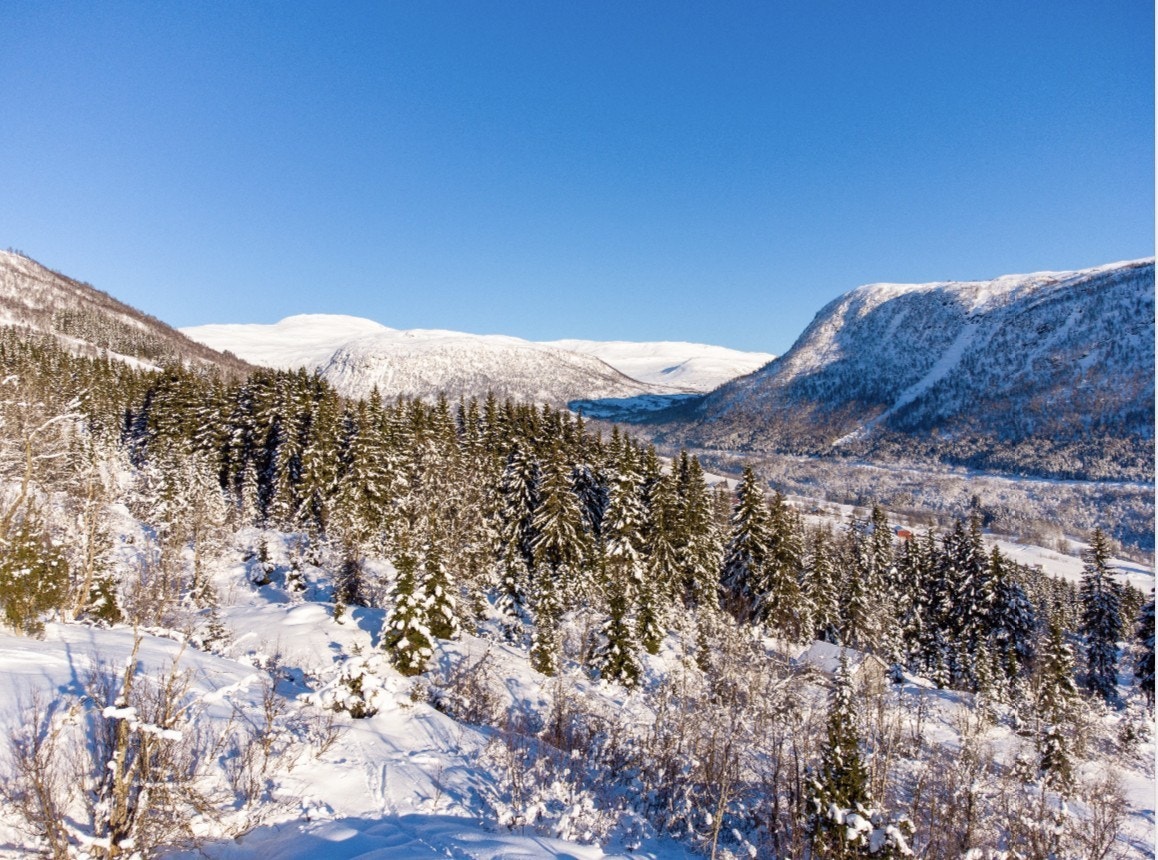 Tomtene er nærliggende ulike fantastiske sommer- og vinteraktiviteter som rafting, fotballgolf, klatrepark, innendørs skydiving og mye mer som passer ypperlig for hele familien. Galleribilde