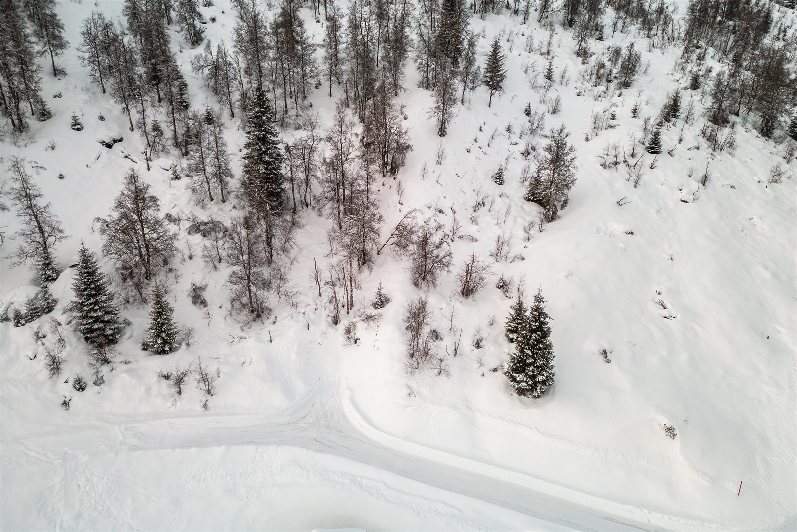 Tomten sett ovenfra. Galleribilde