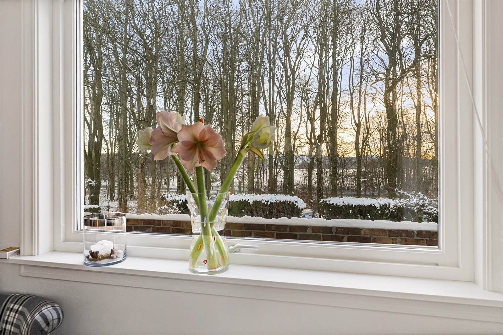 Flott utsikt mot parken. Ingen innsyn Galleribilde