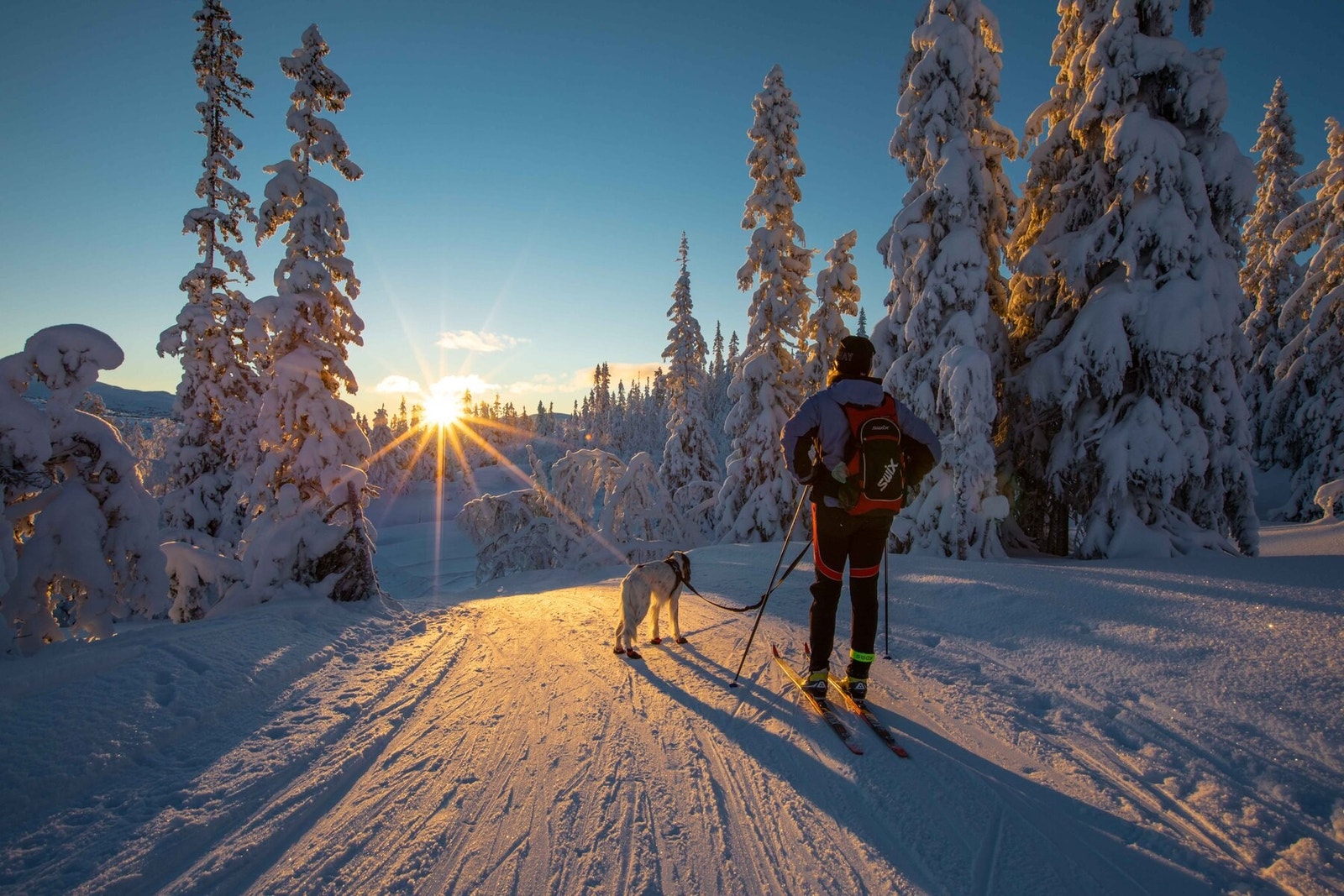 Nydelig vinterdag på Turufjell Galleribilde