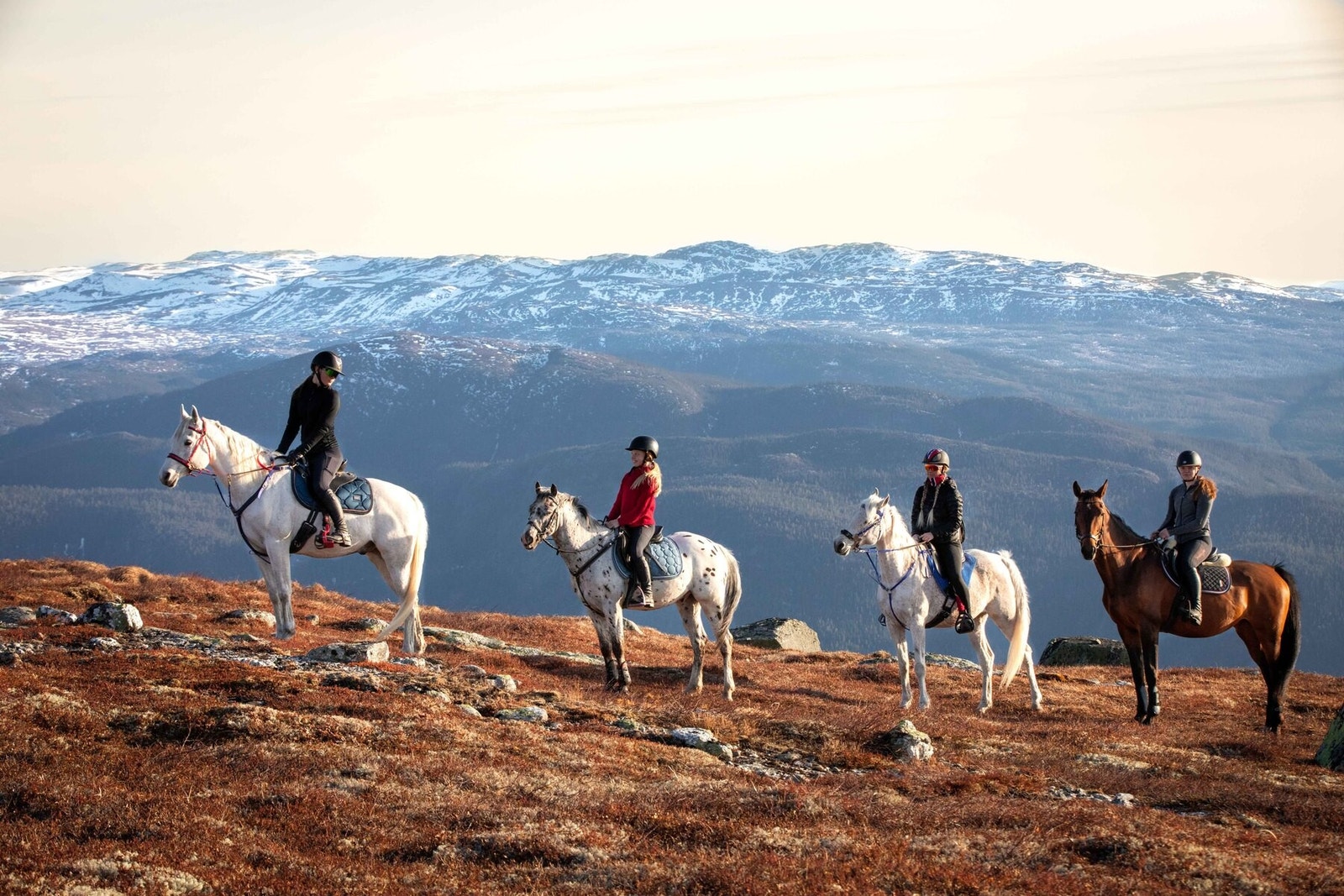 Det er muligheter for turridning på Turufjell Galleribilde