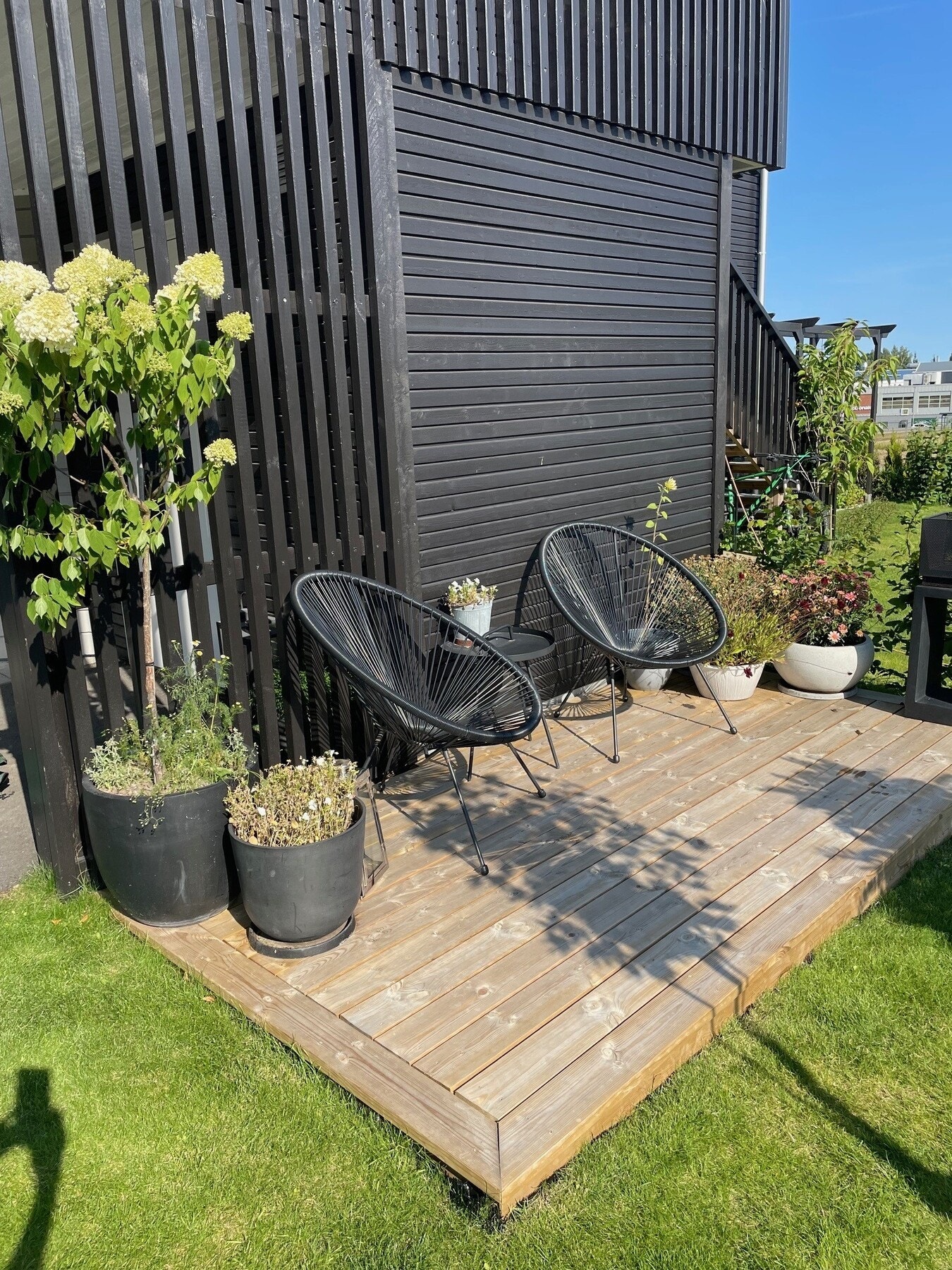 Selgers bilder. Galleribilde