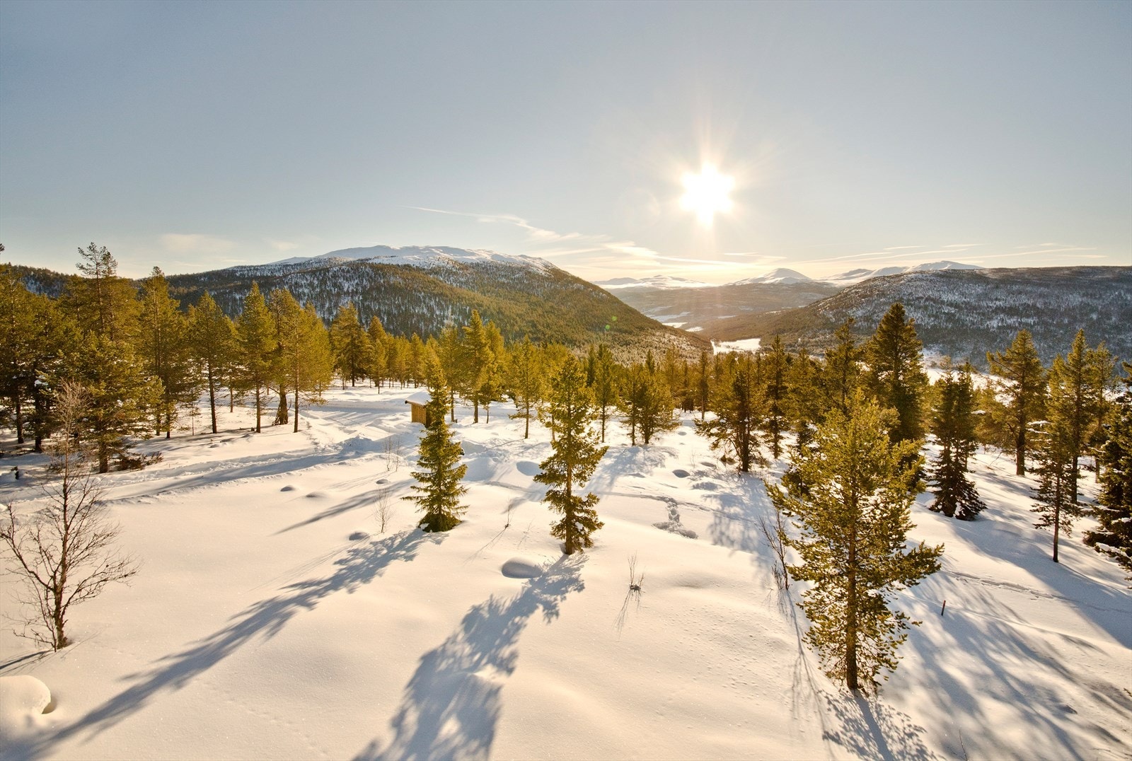 Vinteridyll. Galleribilde