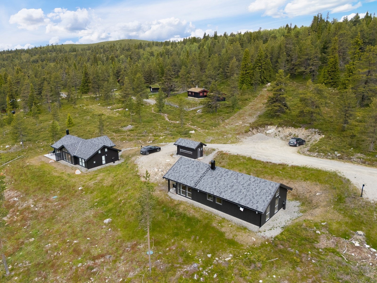 Velkommen til visning! Galleribilde