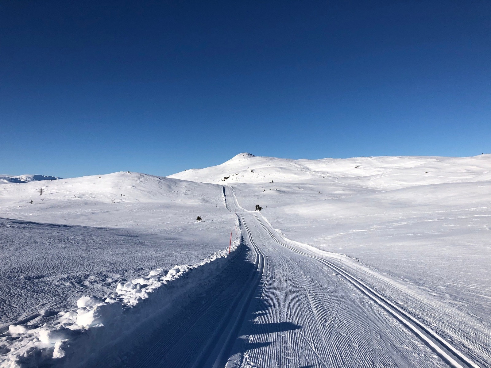 Flotte skiløyper Galleribilde