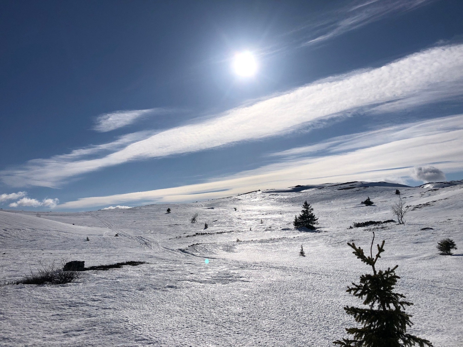 Vinteren på Sangefjell Galleribilde