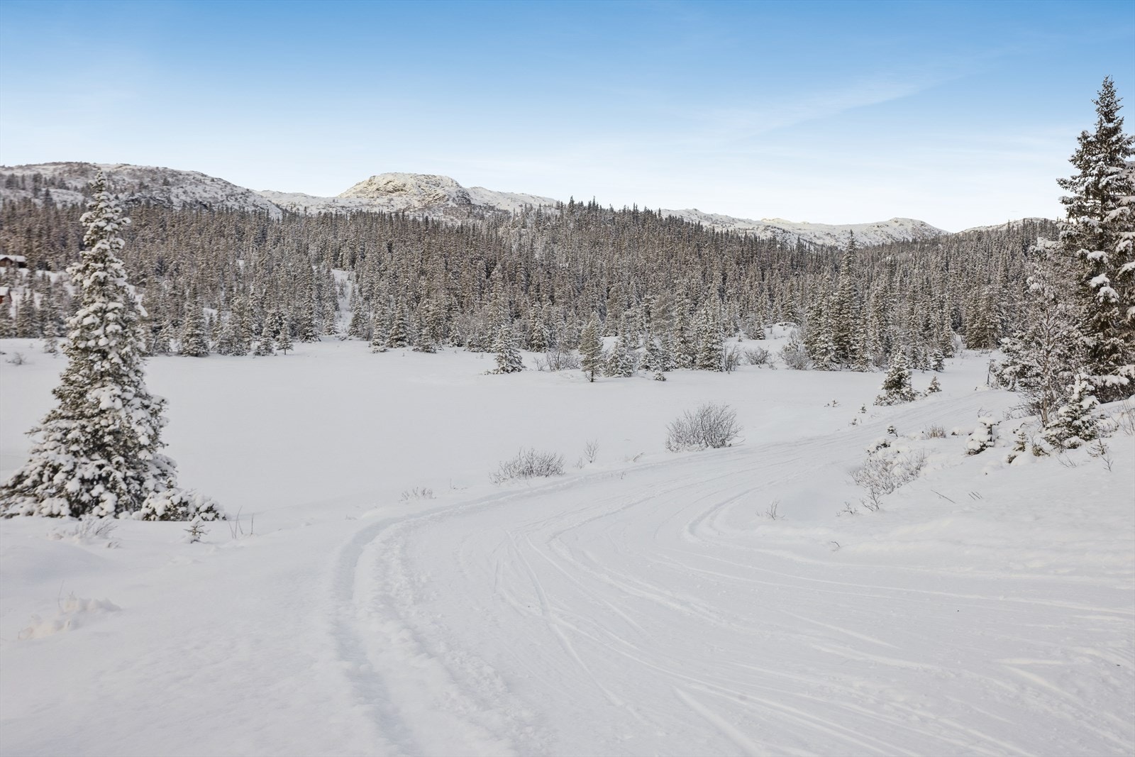 Skiløyper rett ved hytta, i enden av Mjogetjønnvegen. Galleribilde