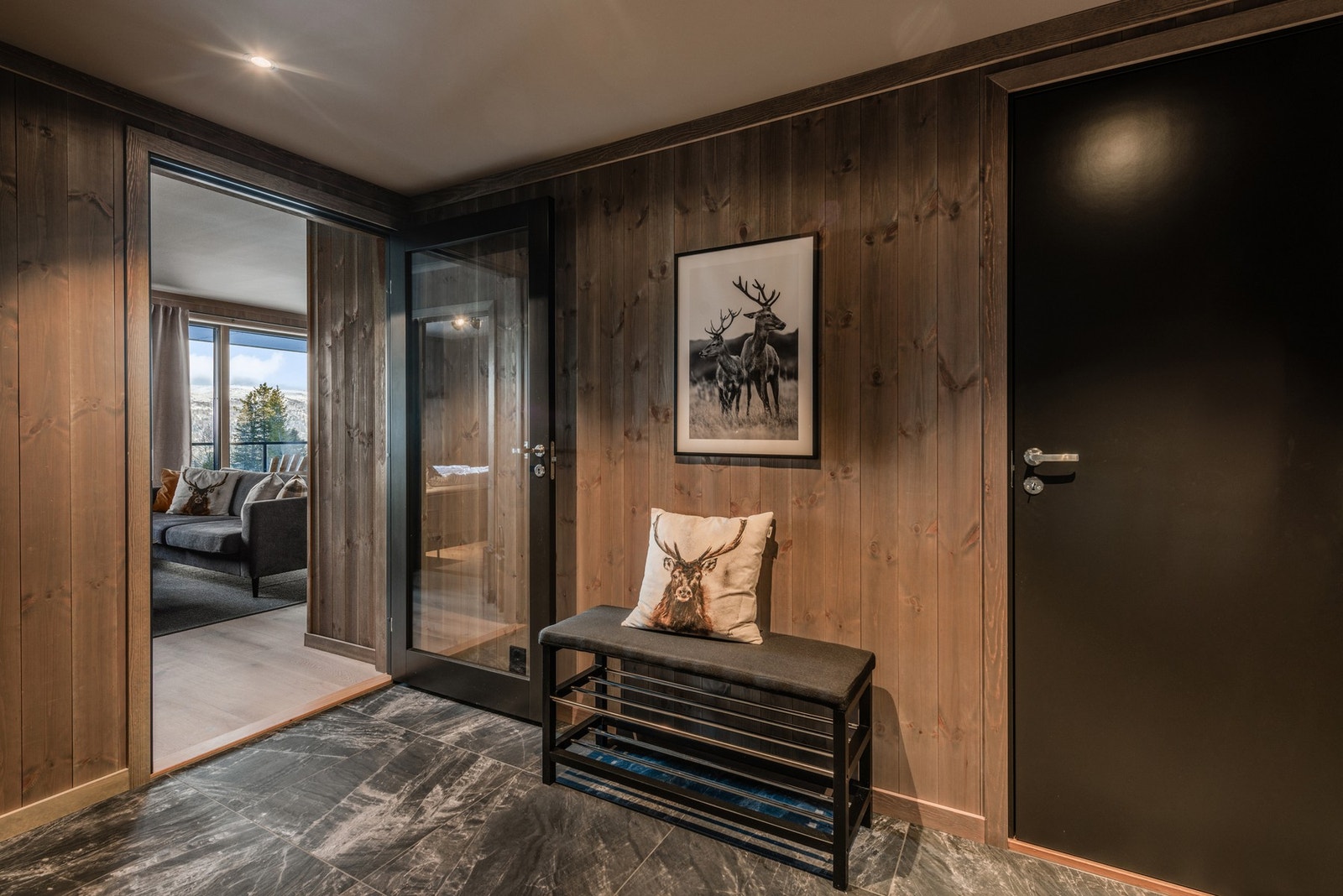 Dør med glassfelt mellom entré og stue/kjøkken Galleribilde