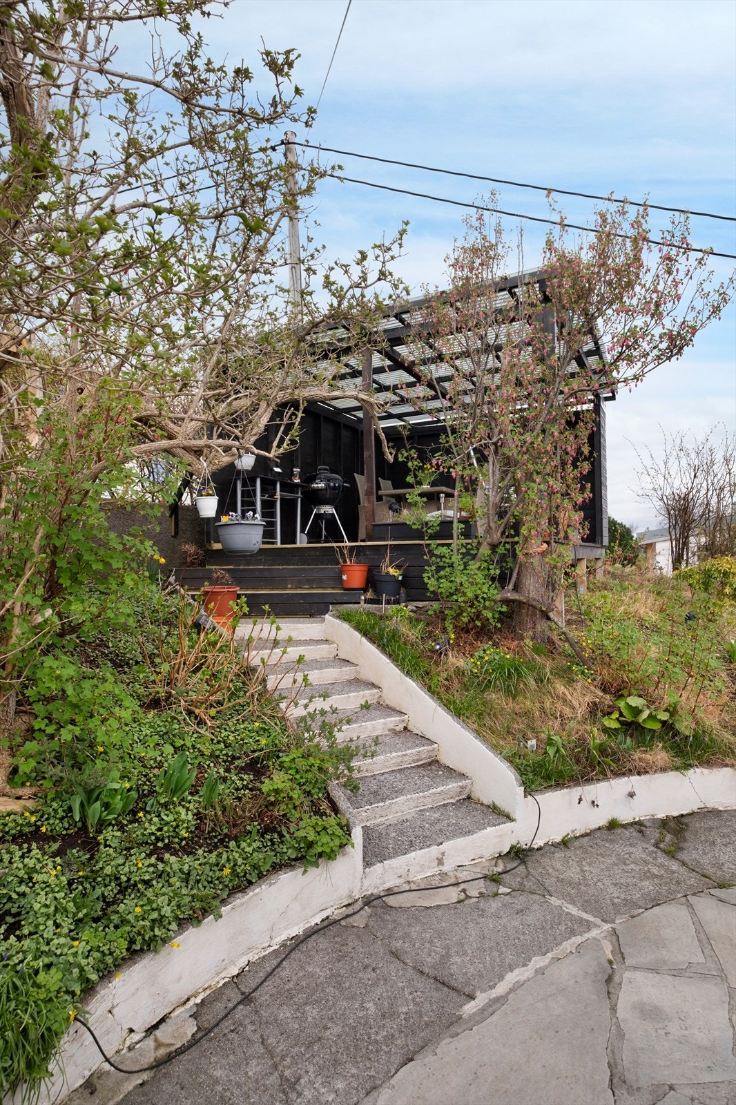 Åpen hagestue mot nordøst. Galleribilde