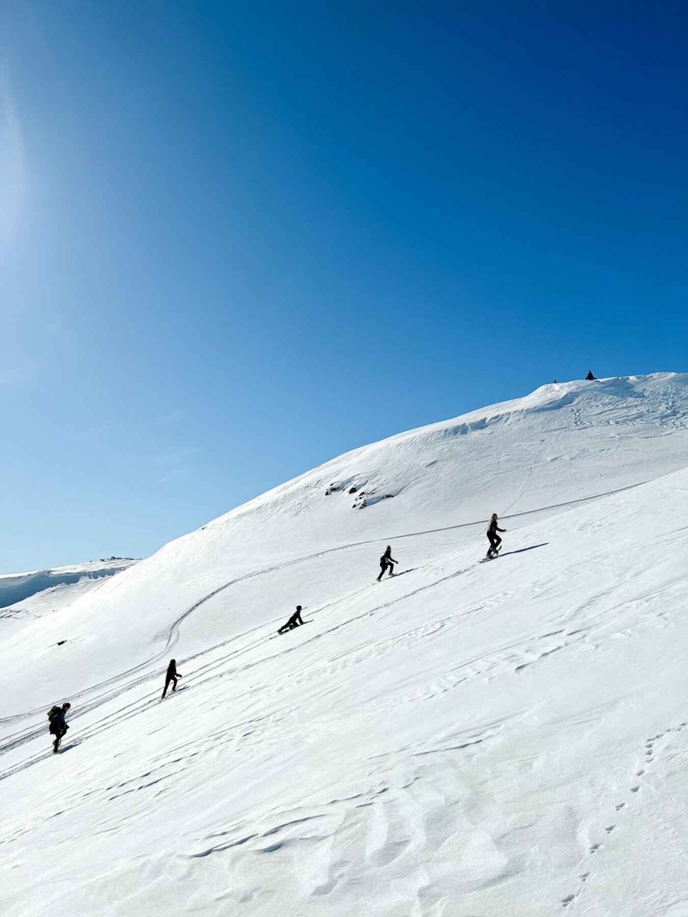 Mange toppturmuligheter på Vidda Galleribilde