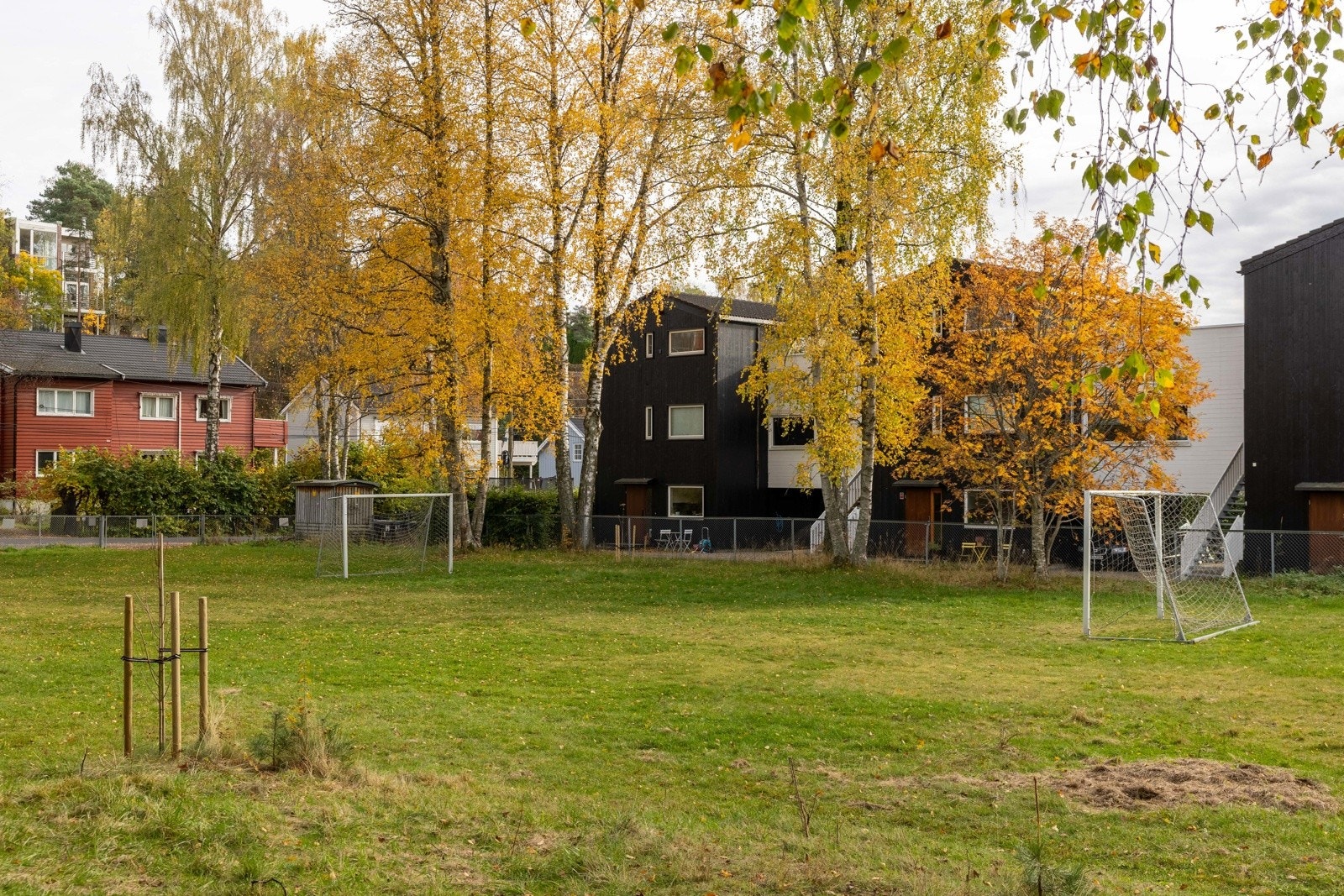 Hansemyrparken er tilbaketrukket, trafikkstille og frodig.