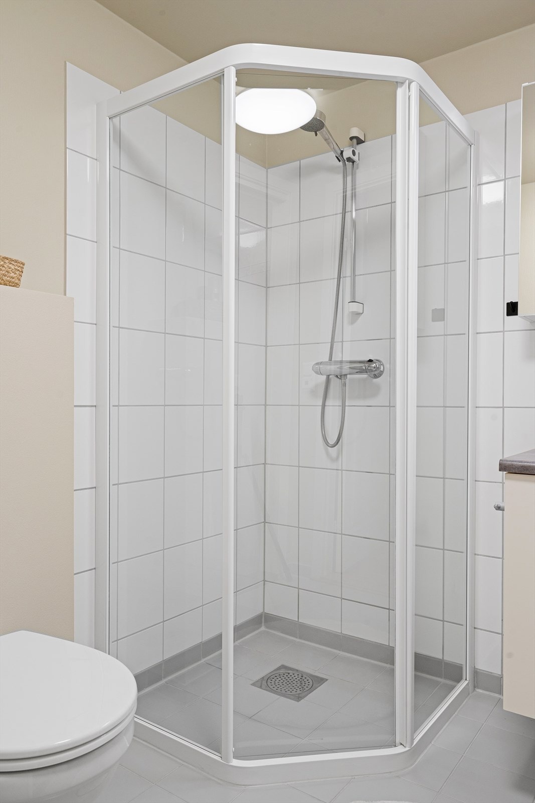 Veggheng toalett, dusjhjørne. Galleribilde