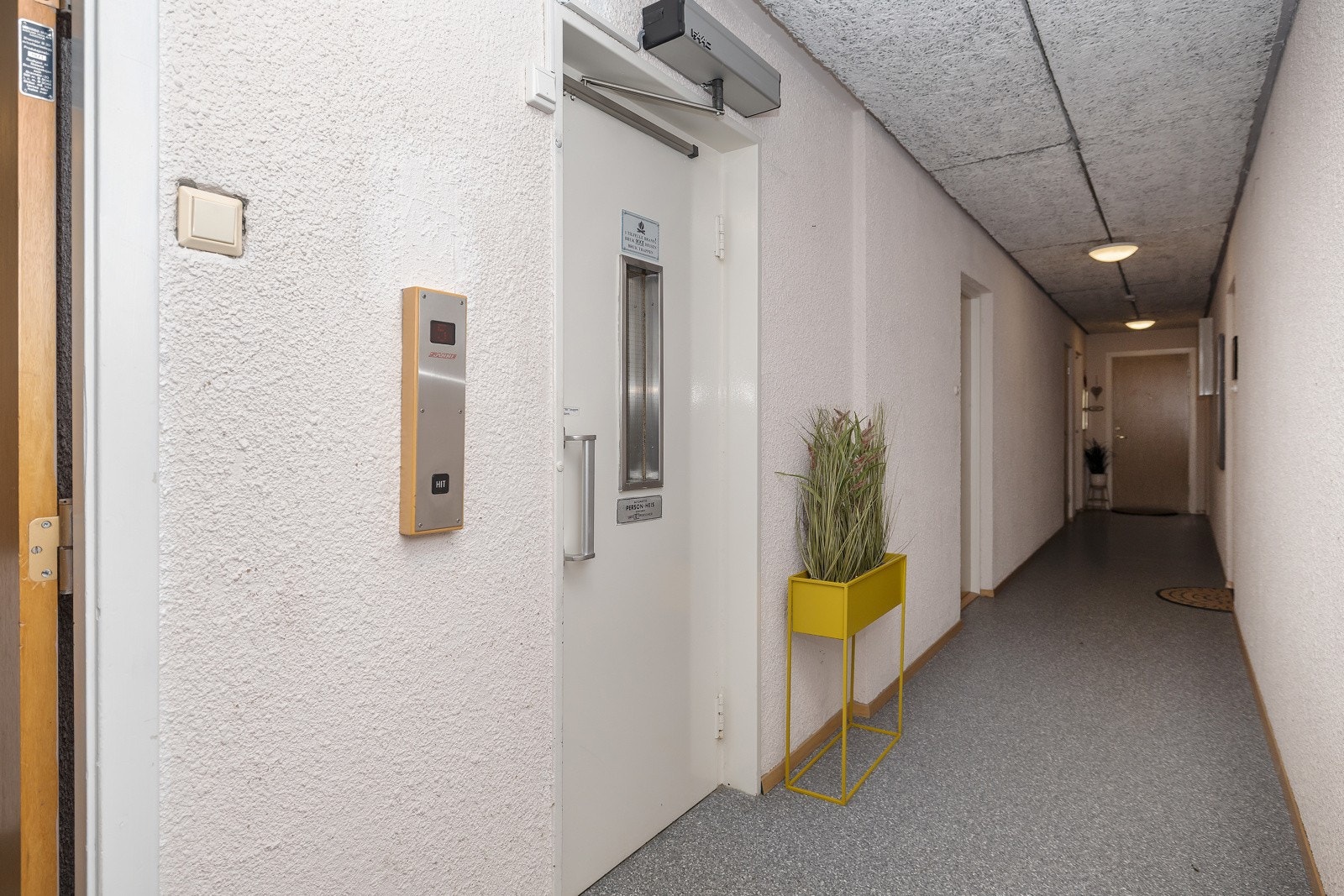 Fellesgang utenfor leilighetet - her er både brede, gode trapper og heis i bygget. Galleribilde