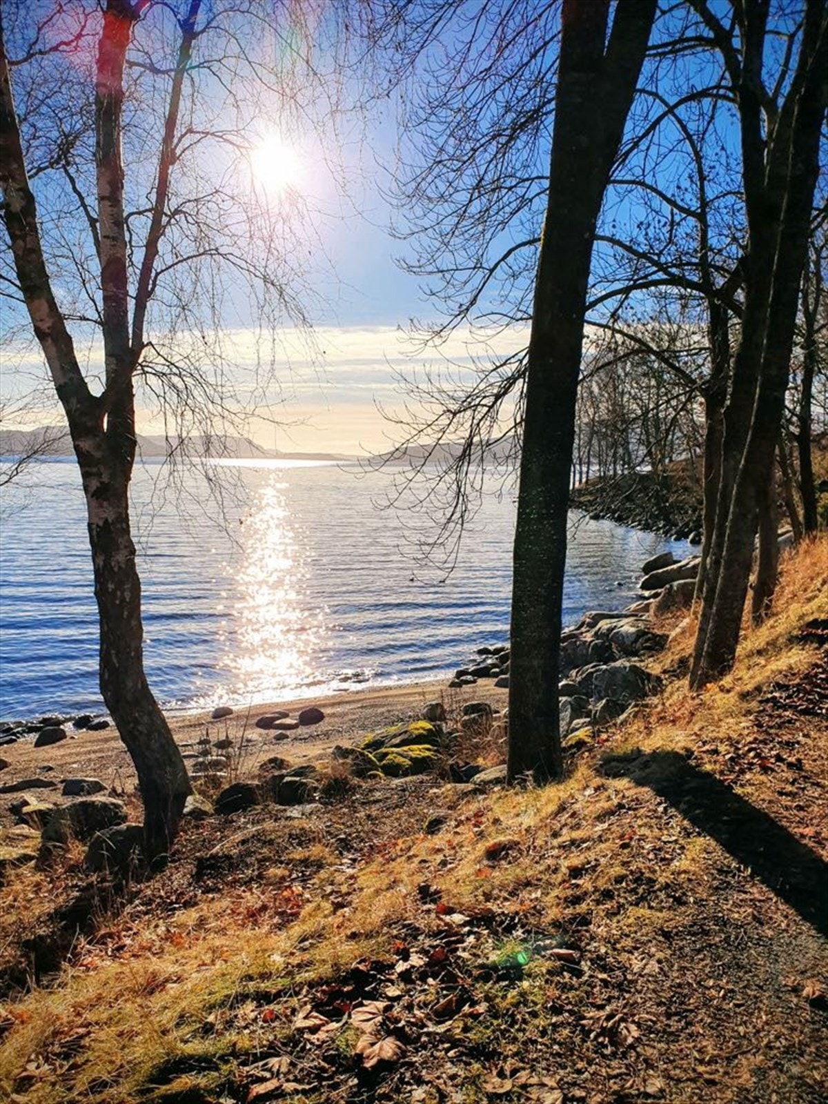 Hernestangen med populær badestrand og friområde en kort spasertur fra boligen. Privat bilde Galleribilde