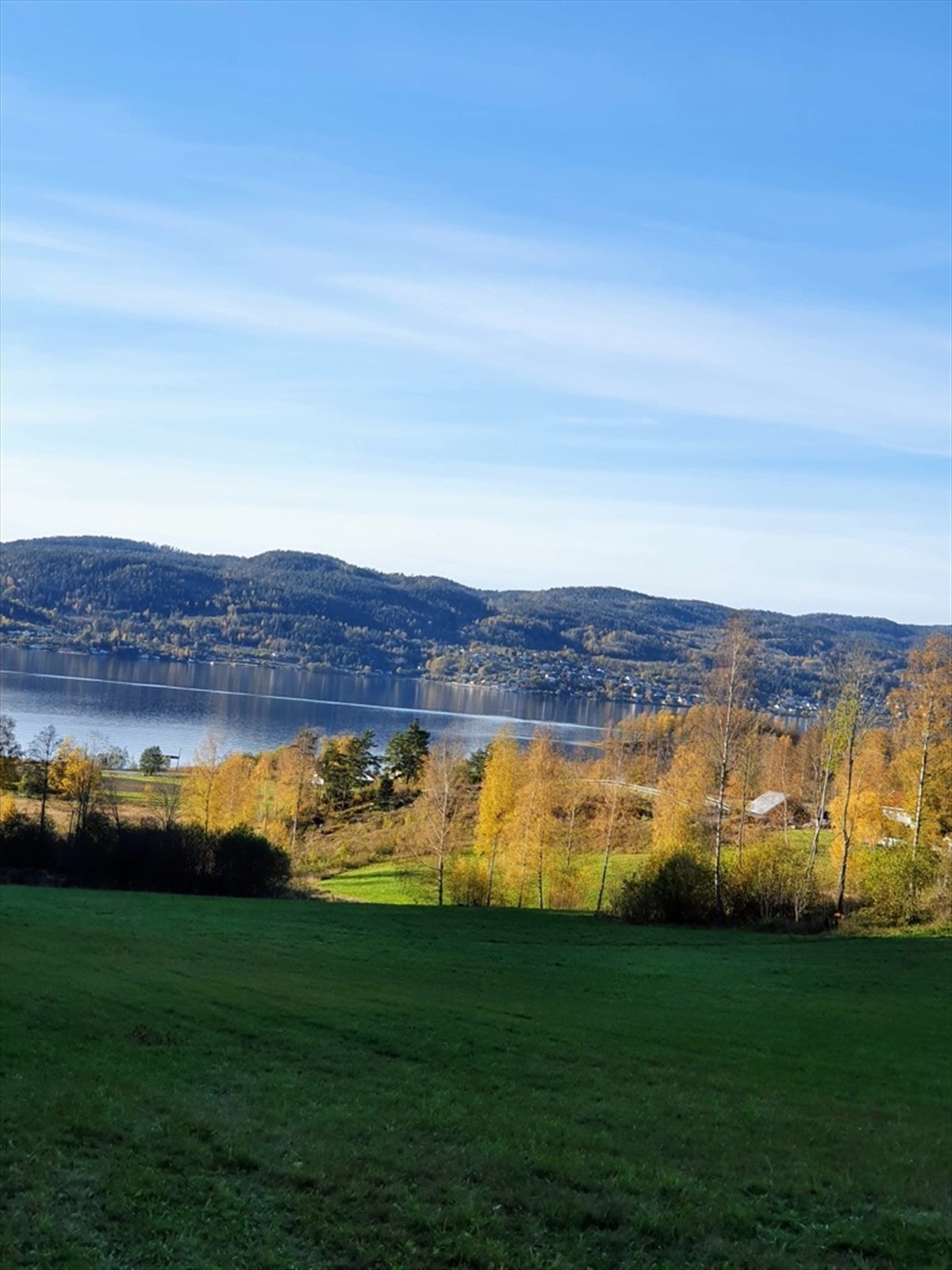 Flotte turmuligheter i marka rett utenfor døren Galleribilde