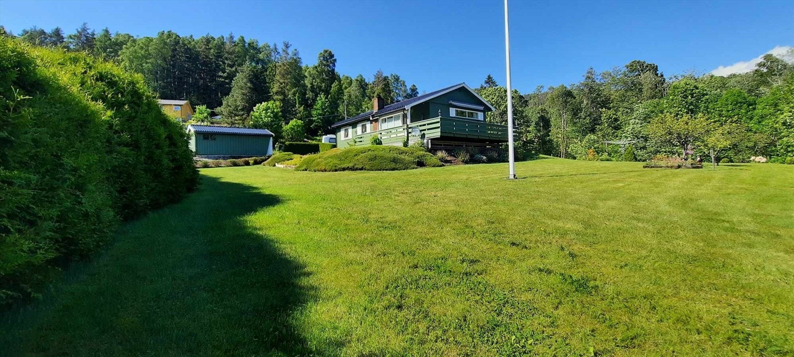 Selgers private bilde av deler av hagen på sommerstid Galleribilde