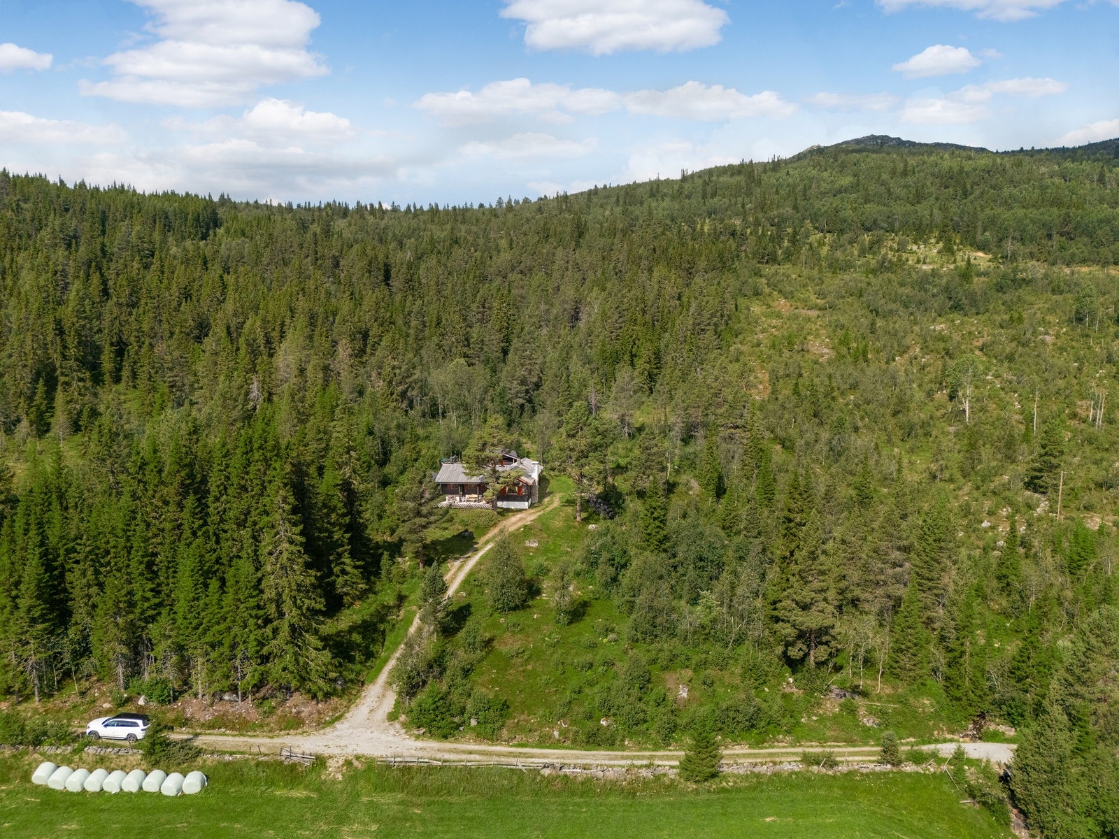 Turveien "Gamleveien" ligger ikke så langt fra hytta og er en ypperlig start for å utforske skogen og videre opp på fjellet. Galleribilde