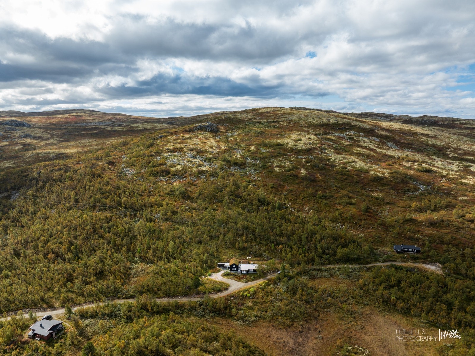 Vilt og vakkert! Galleribilde