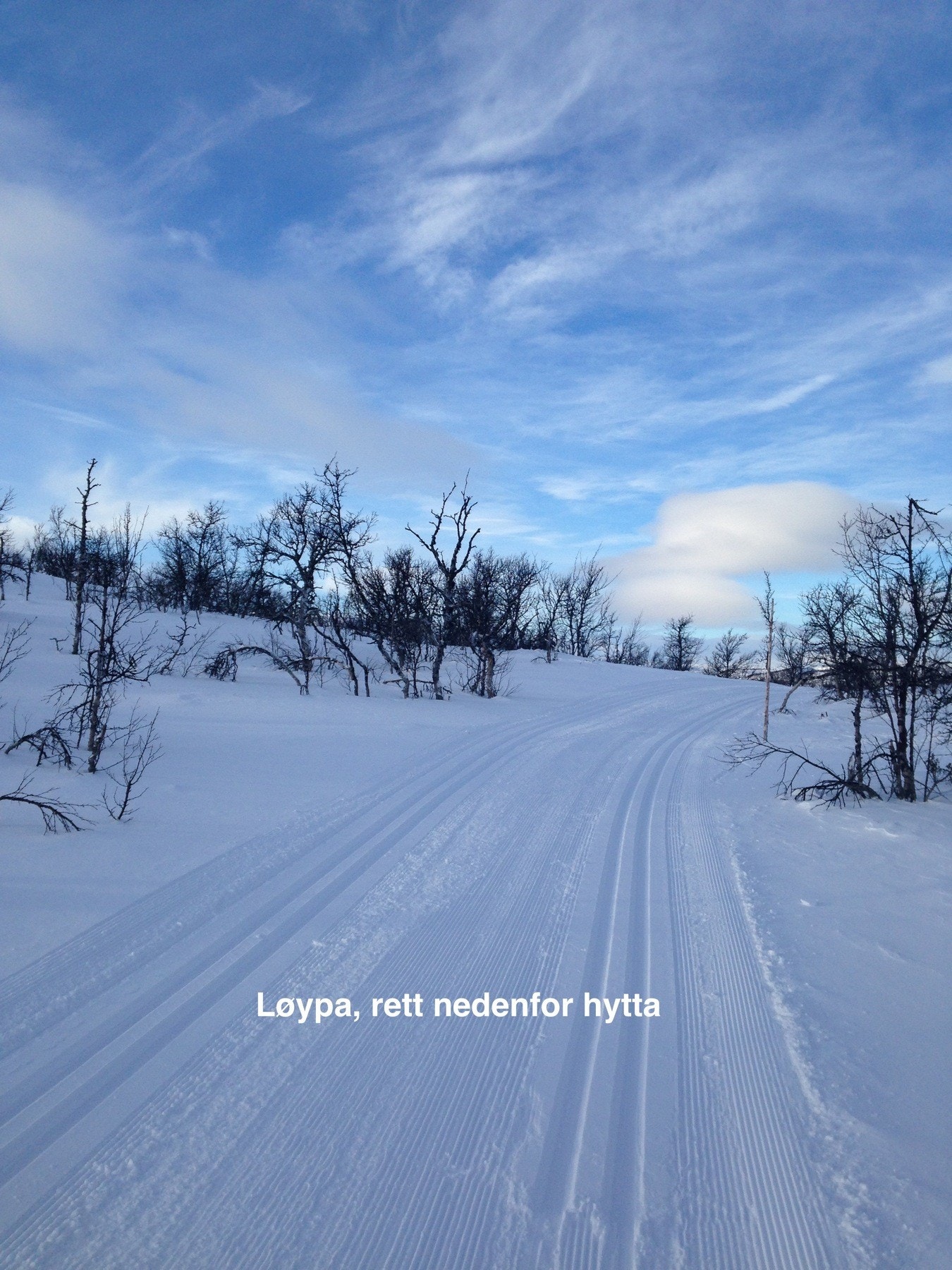 Løypa til Vassulan Galleribilde