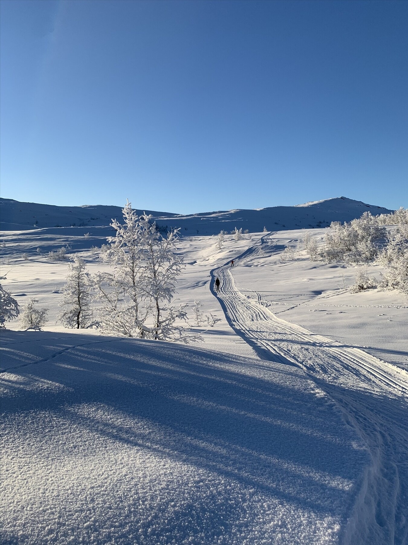 Vinterferie Galleribilde