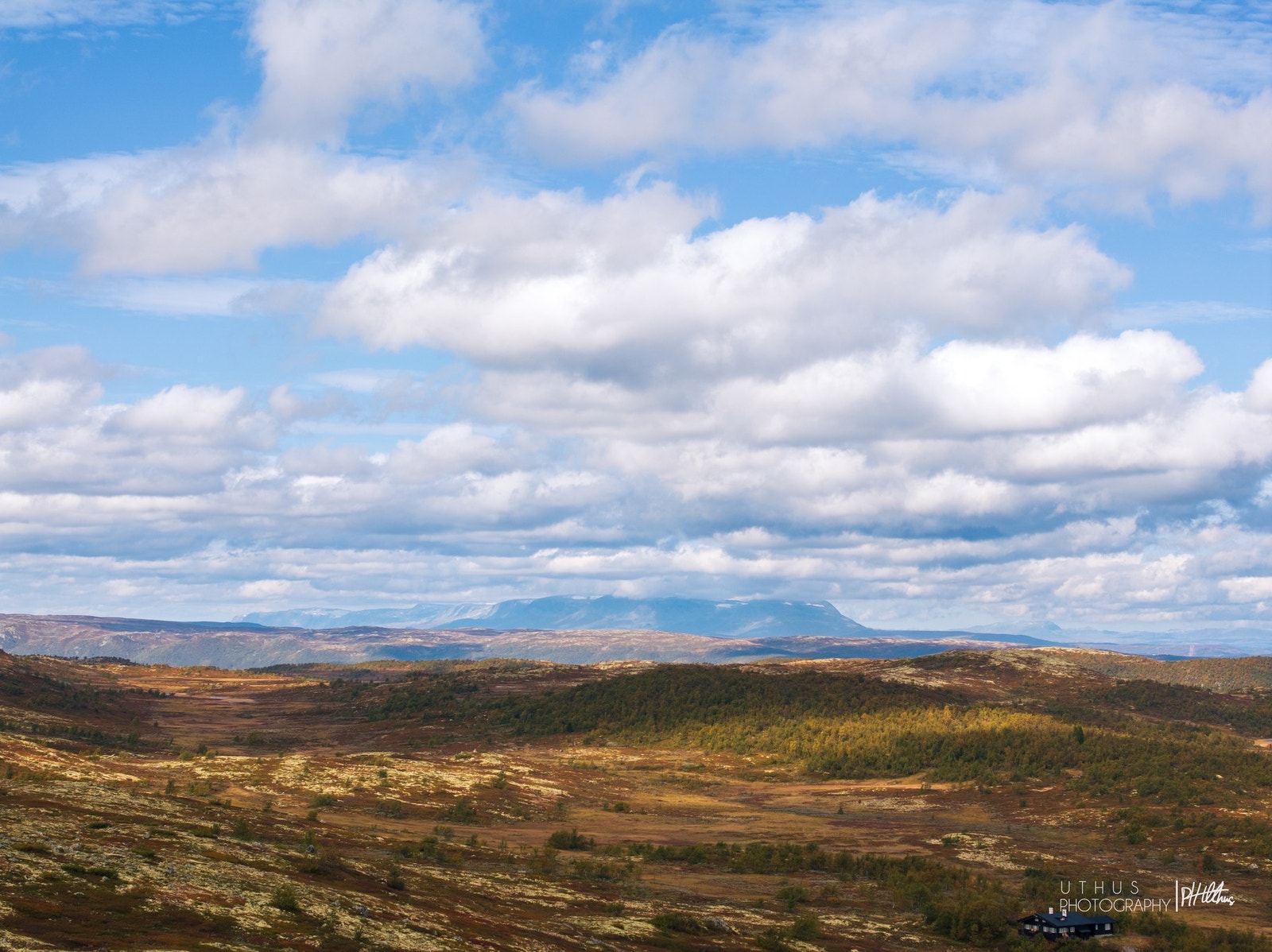 Mot majestetiske Hallingskarvet. Galleribilde