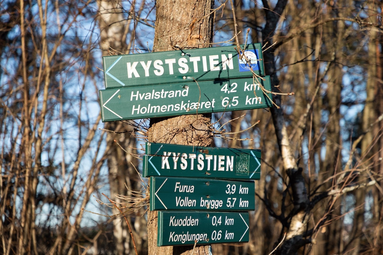 Kystkulturstien strekker seg fra Holmen til Hurum. Her inviteres du til å utforske en harmonisk blanding av lokalhistorie og naturlige skatter. Galleribilde