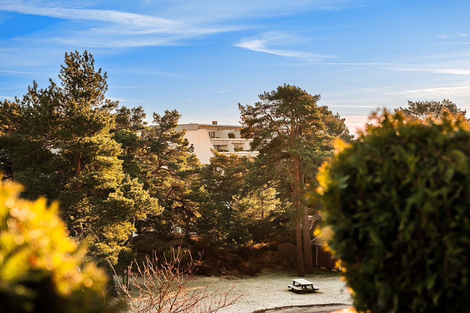 Høyden av øverste etasje betyr ikke bare gode solforhold, men også et fint utsyn til omgivelsene. Galleribilde