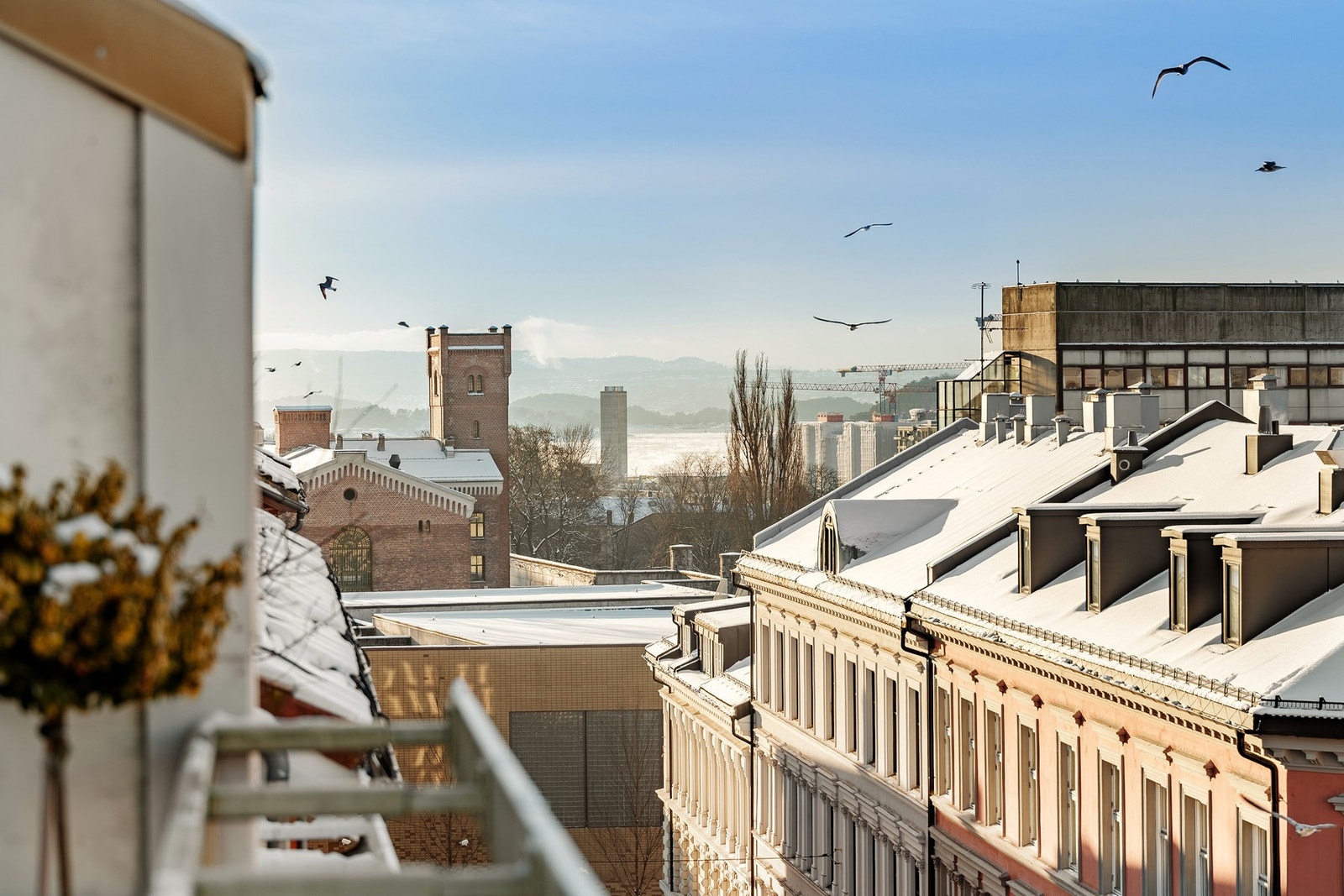 Utsikt som strekker seg over takene nedover mot Oslofjorden. Galleribilde