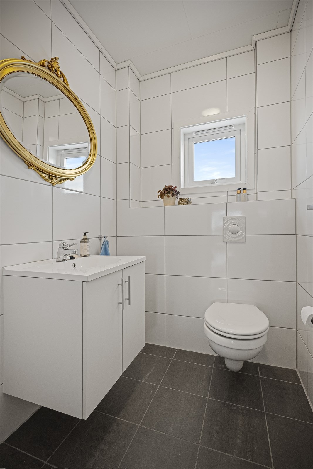 Gjestetoalett Galleribilde