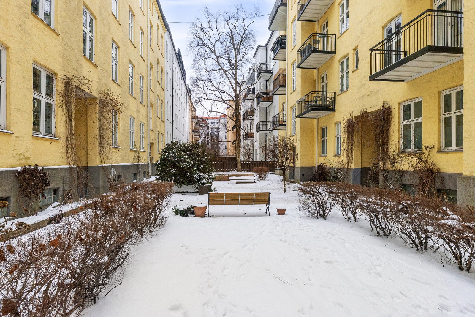 Leiligheten ligger tilbaketrukket i et indre gårdsrom i en vakker bygård fra 1890-tallet. Galleribilde