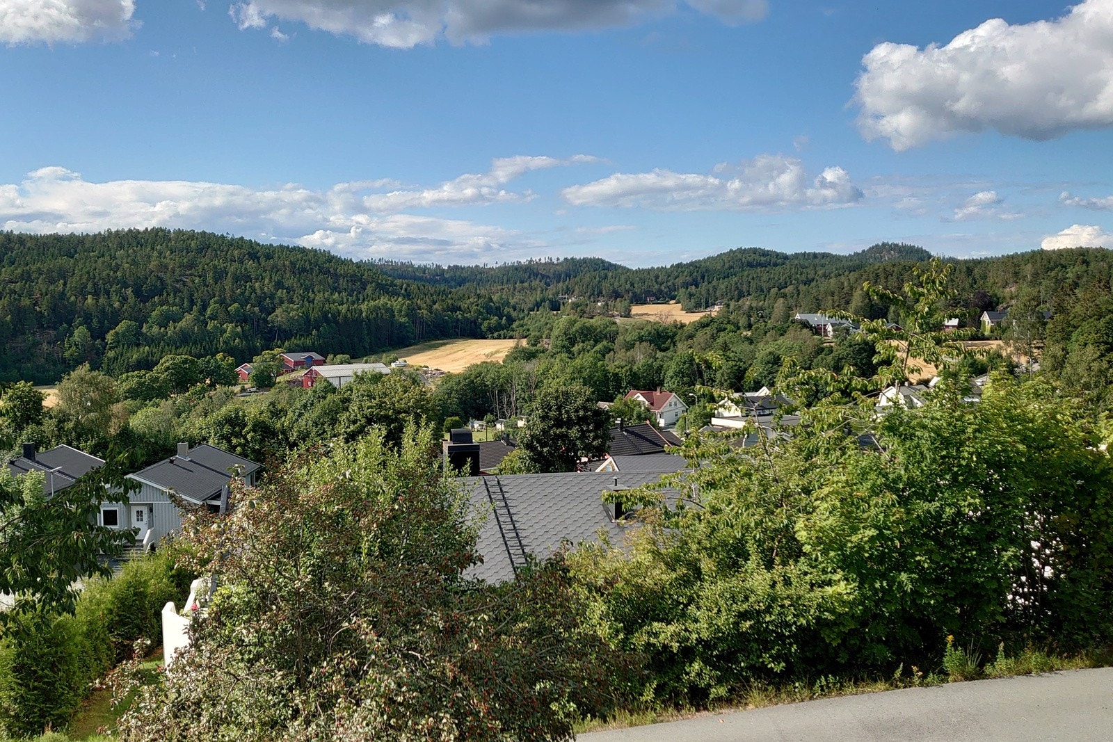 Selgers private bilde Galleribilde