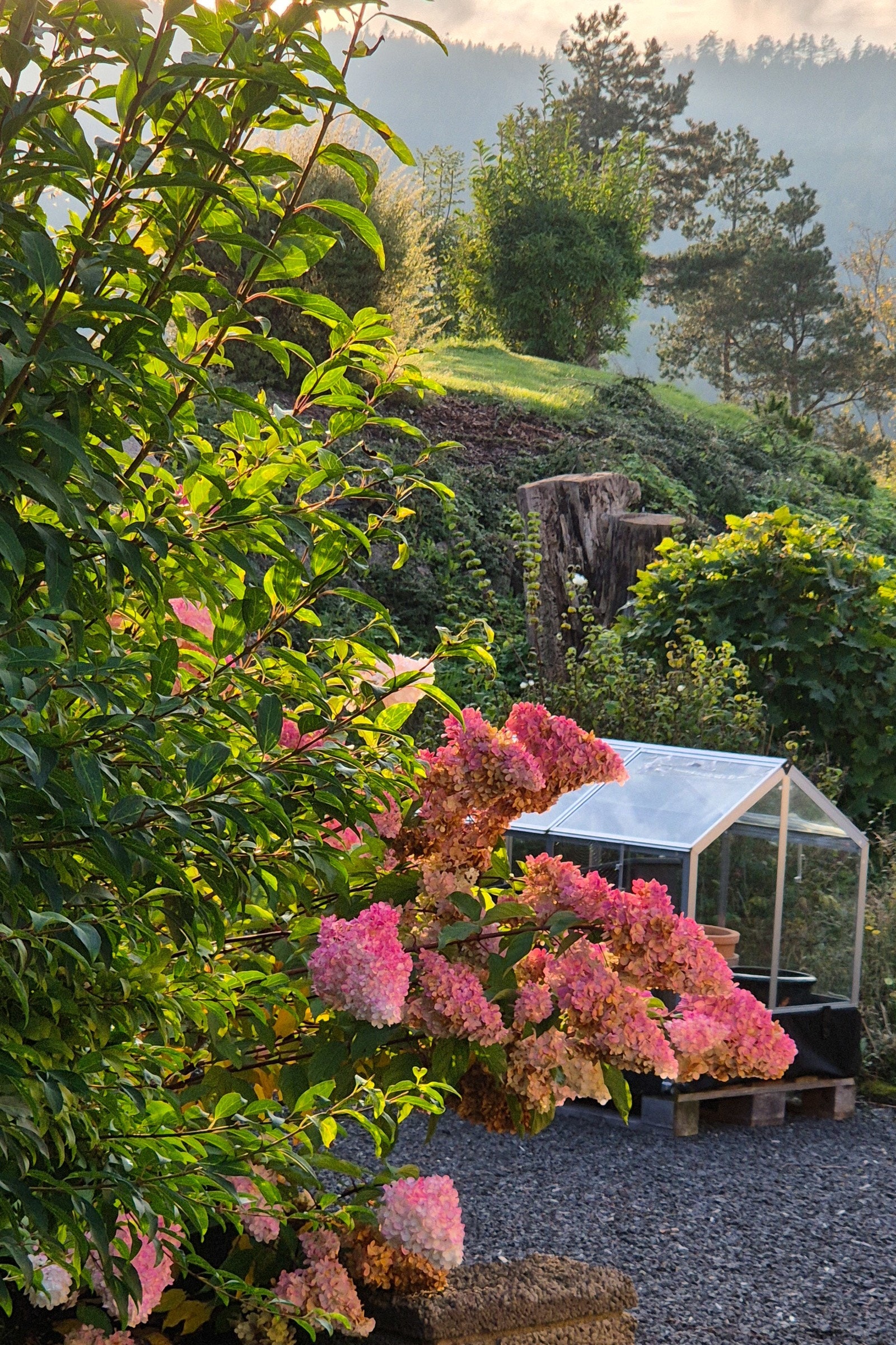 Selgers private bilde Galleribilde