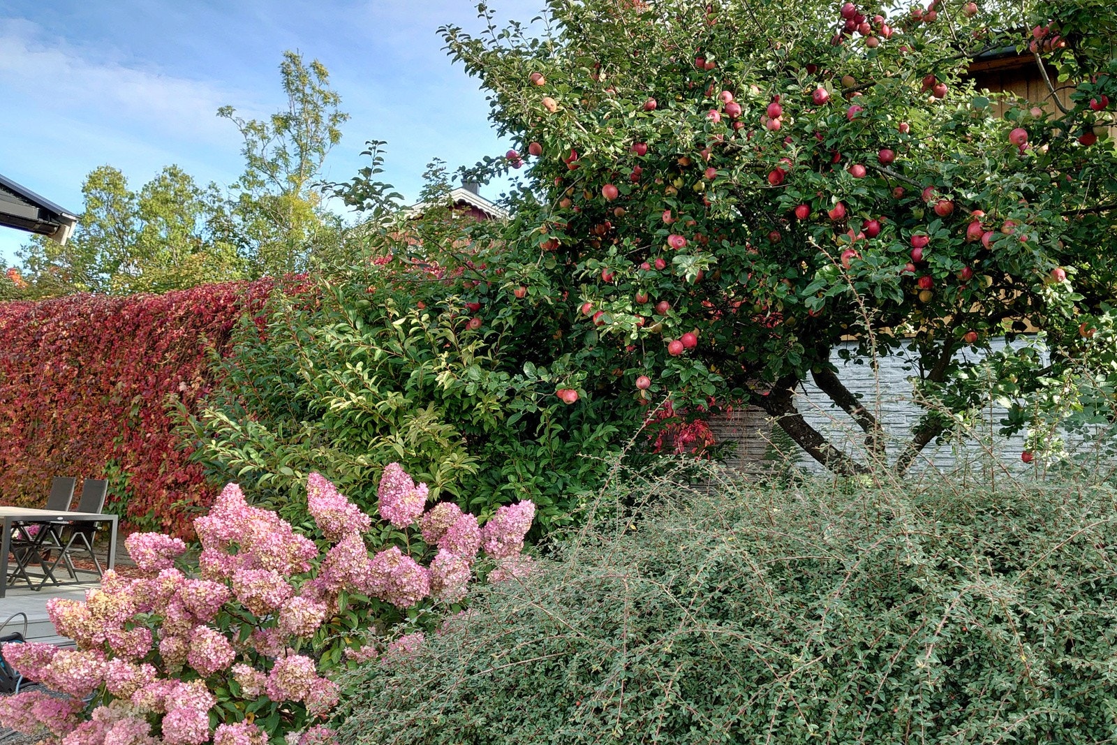 Selgers private bilde Galleribilde