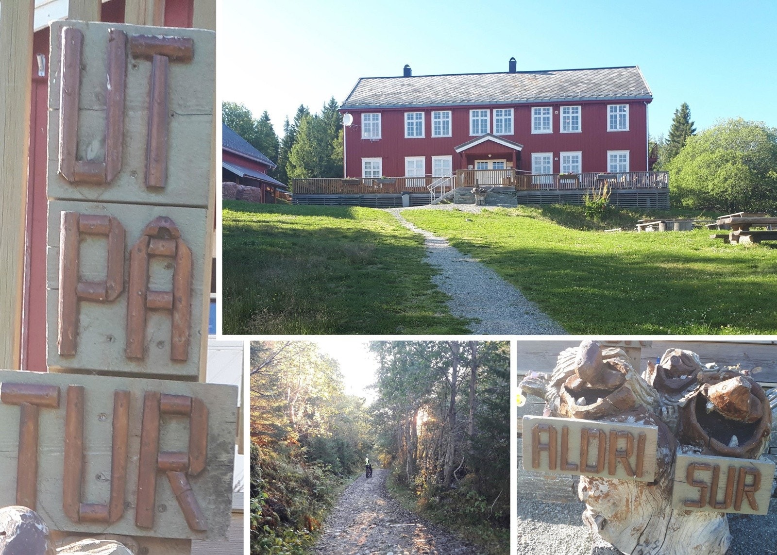 Bymarka har ca. 300 km med stier, 120 km maskinpreparerte skiløyper og 6 lysløyper på til sammen 53 km. Galleribilde