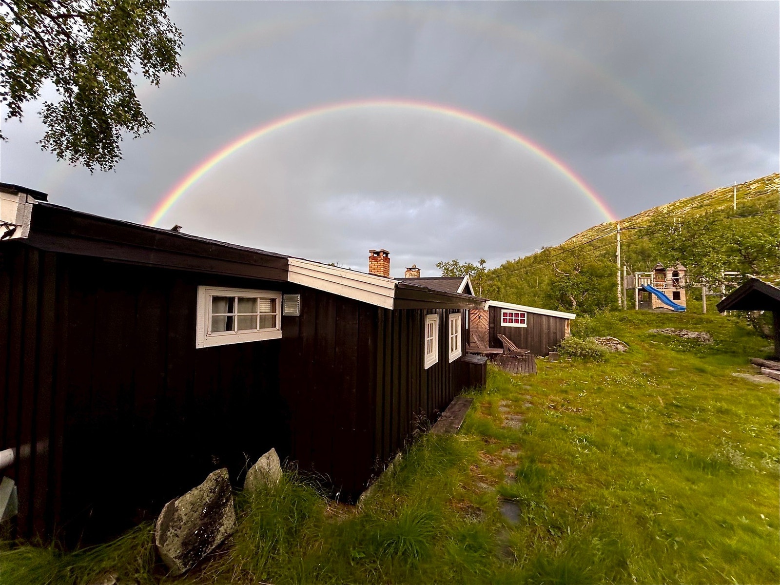 Selgers bilde Galleribilde