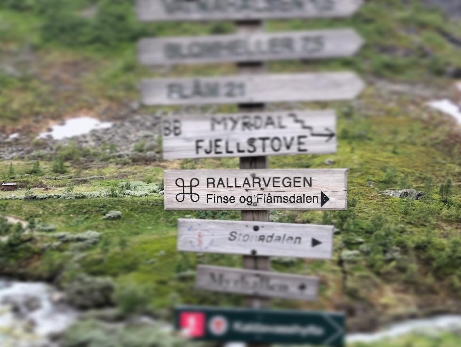 Selgers bilde Galleribilde